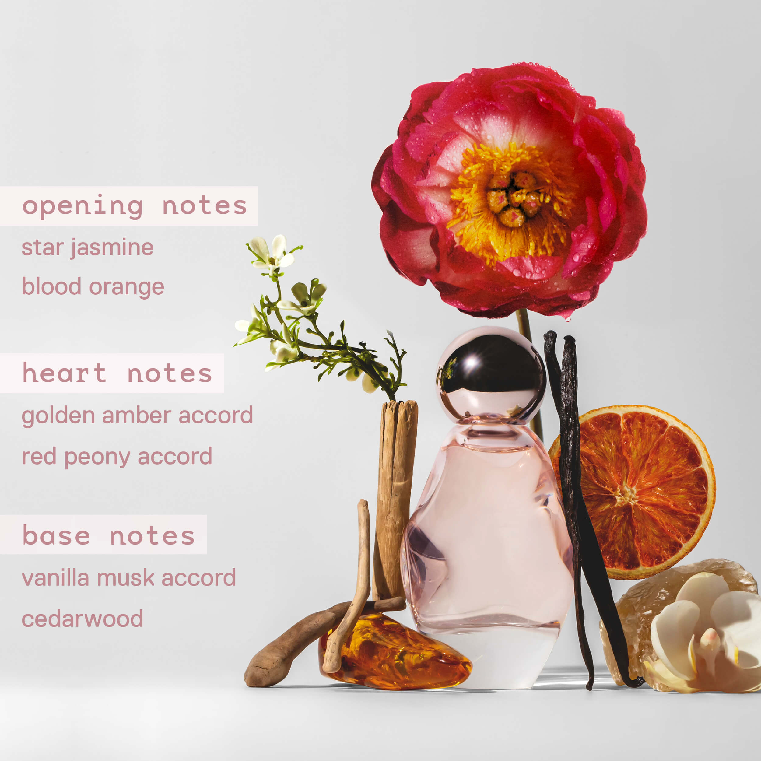 CKJ_Infographic_Ingredients_4d04609c-912e-41cf-b859-f13ce8605f67.jpg