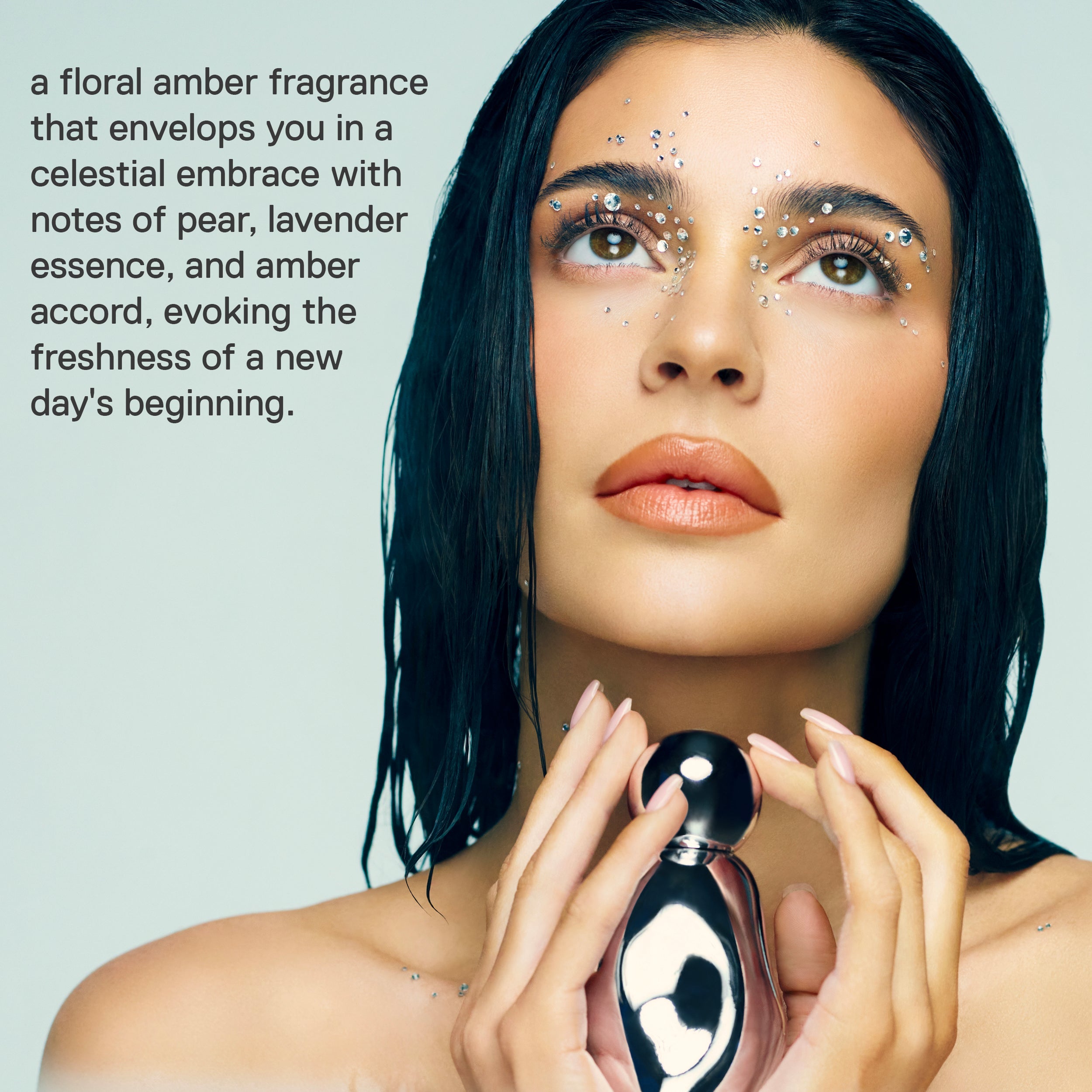 Cosmic2.0Infographics_FragranceDescription_V2_8ff31f5a-f03e-4a87-8503-e969e9dcbe86.jpg