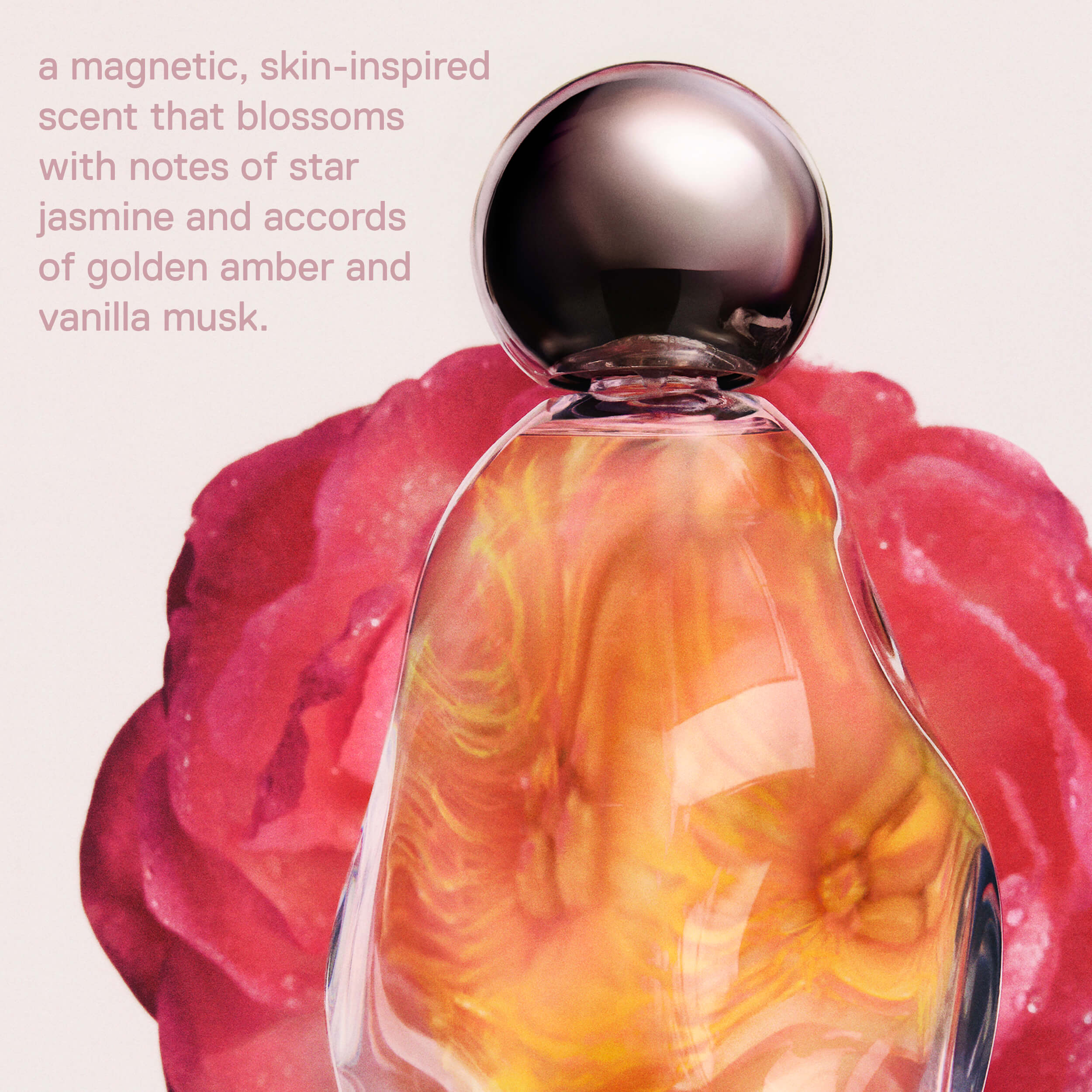 KJP_CKJ_24_Infographic_FragranceDescription_24562d1e-11aa-4354-a384-80bce9bd7ae2.jpg