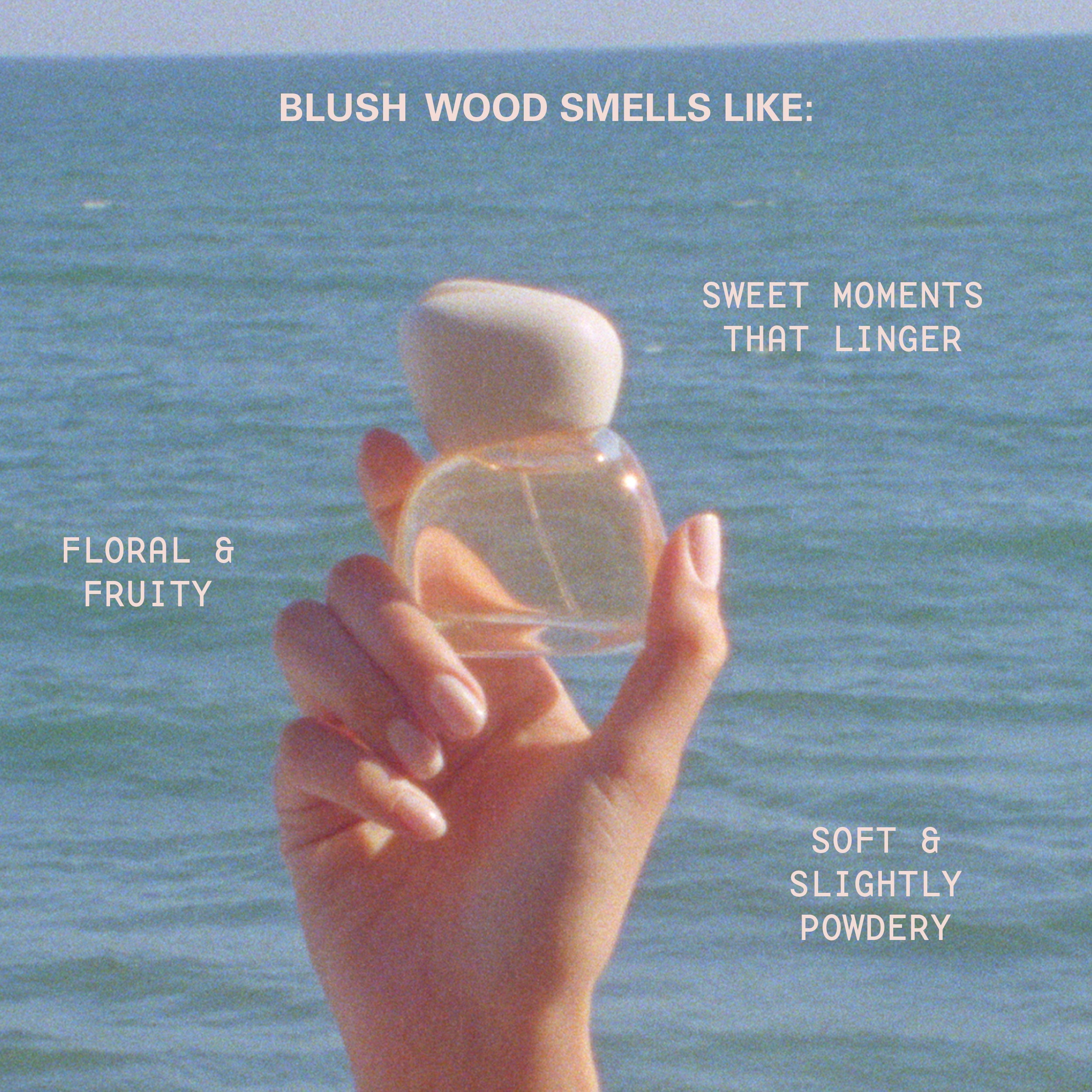 MoodStonesInfographics_AestheticVibe_BlushWoodSmellsLike_b1308230-76e1-4501-9614-e5c5a906911d.jpg