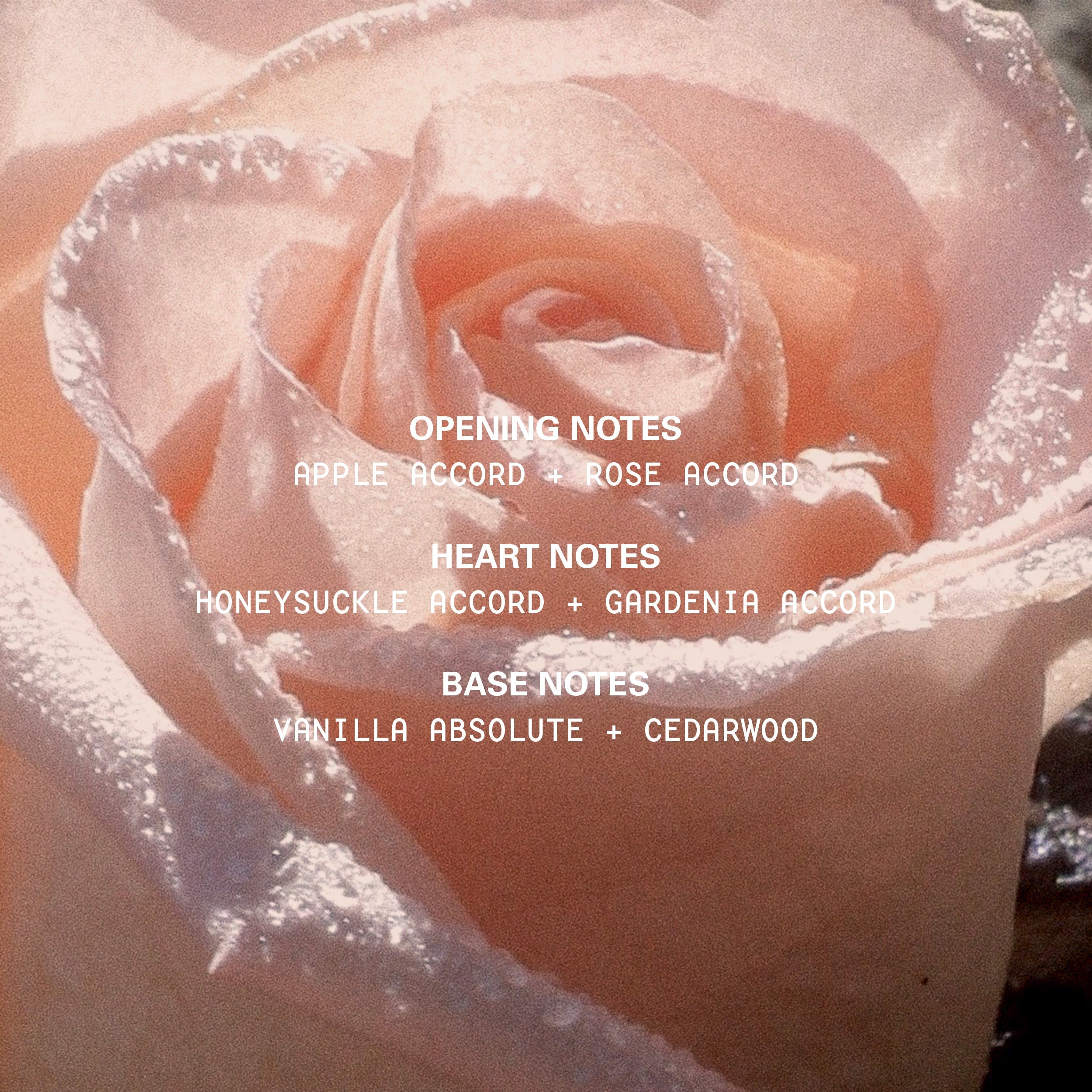 MoodStonesInfographics_AestheticVibe_BlushWood_AllNotes_c966c55a-b48c-471b-89b2-d7fbcbcee796.jpg