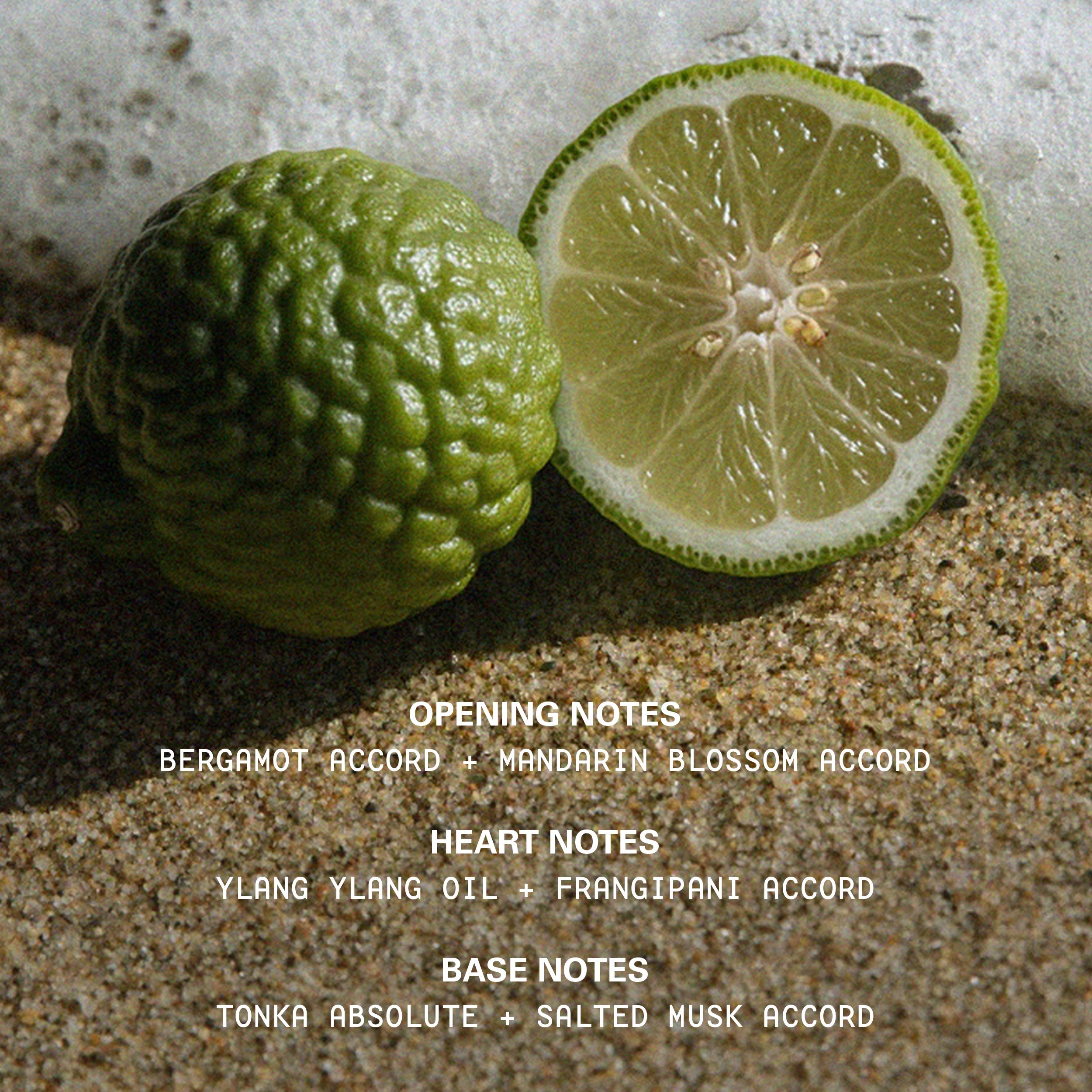 MoodStonesInfographics_AestheticVibe_CashmereMuse_AllNotes_c84f3fdf-5ae8-40d9-b66d-46df641ed0d3.jpg
