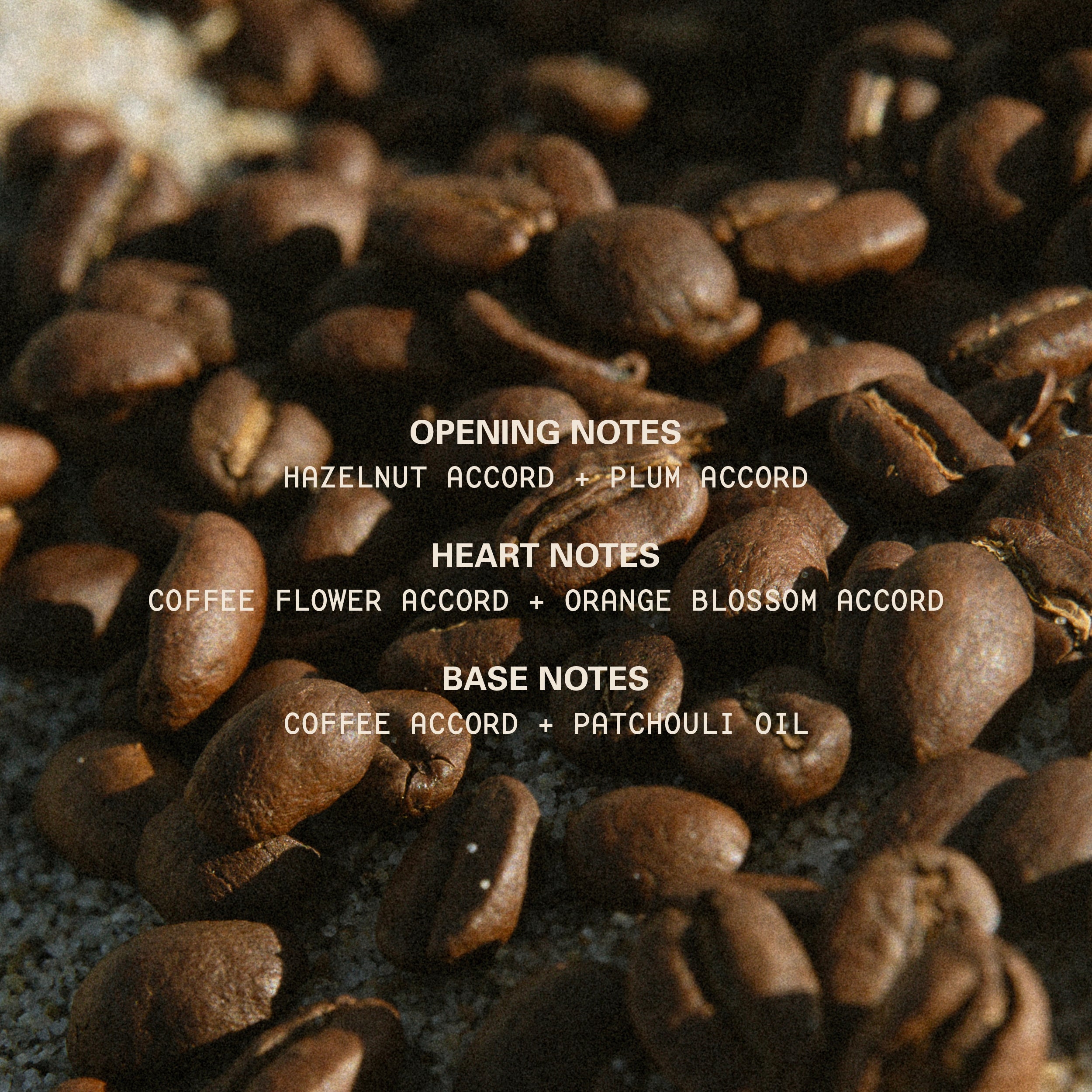 MoodStonesInfographics_AestheticVibe_VelvetBrew_AllNotes_d5b22143-b862-4e45-abb9-437994bdaef5.jpg